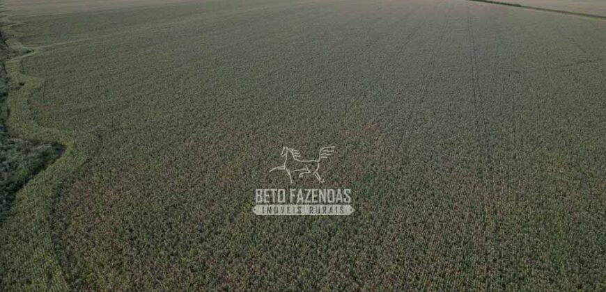Fazendaà Venda 20.190 Hectares Dupla Aptidão Lavoura e Pecuária | Campo Verde/ MT