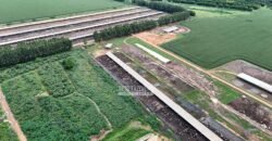 Fazendaà Venda 20.190 Hectares Dupla Aptidão Lavoura e Pecuária | Campo Verde/ MT