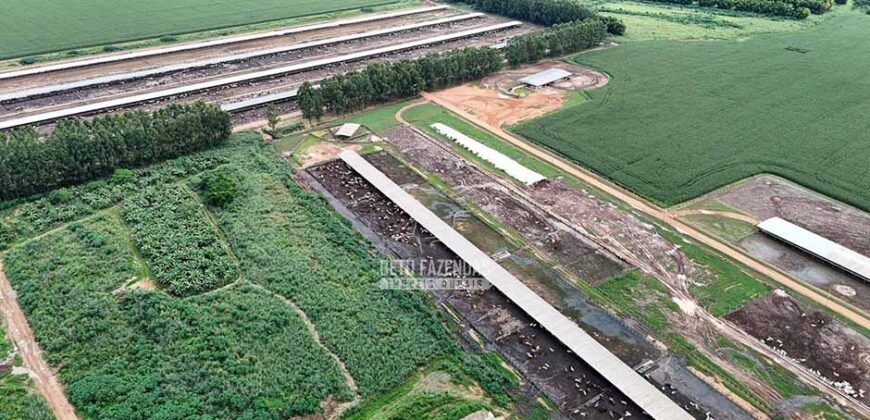 Fazendaà Venda 20.190 Hectares Dupla Aptidão Lavoura e Pecuária | Campo Verde/ MT