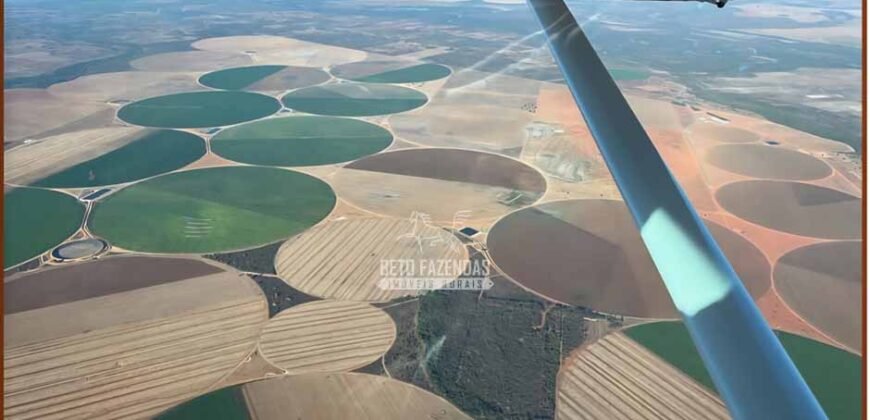 Fazenda de Grãos e Algodão à Venda 8.126 Has Estrutura Completa e Pista de Pouso | Noroeste de MG