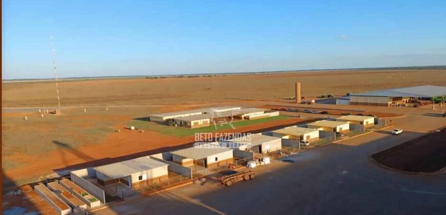 Fazenda de Grãos e Algodão à Venda 8.126 Has Estrutura Completa e Pista de Pouso | Noroeste de MG