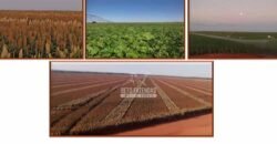 Fazenda de Grãos e Algodão à Venda 8.126 Has Estrutura Completa e Pista de Pouso | Noroeste de MG