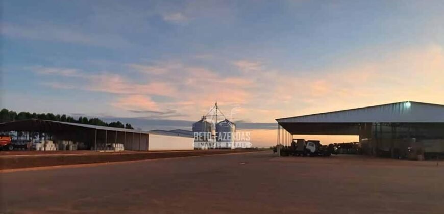 Fazenda de Grãos e Algodão à Venda 8.126 Has Estrutura Completa e Pista de Pouso | Noroeste de MG