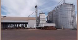 Fazenda de Grãos e Algodão à Venda 8.126 Has Estrutura Completa e Pista de Pouso | Noroeste de MG