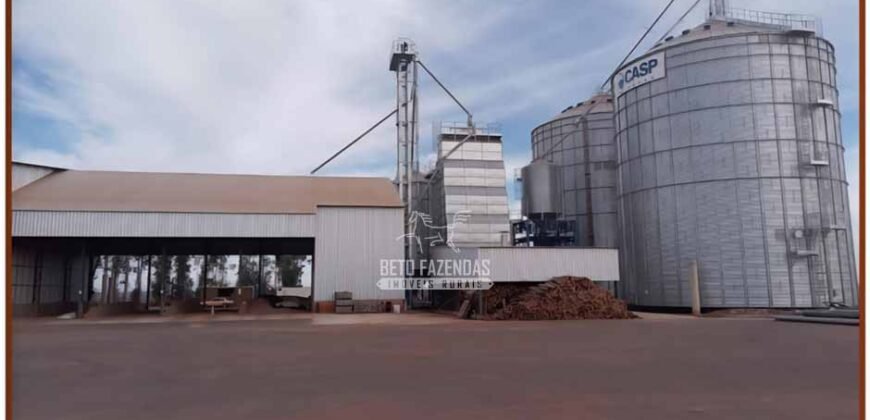 Fazenda de Grãos e Algodão à Venda 8.126 Has Estrutura Completa e Pista de Pouso | Noroeste de MG