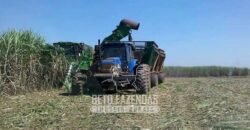 Usina à Venda 14.520 hectares Açúcar, Etanol e Energia | Oeste Paulista/ SP