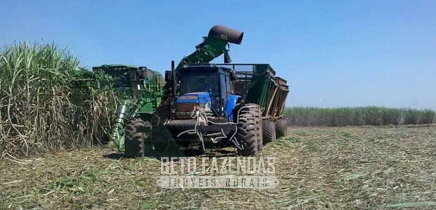 Usina à Venda 14.520 hectares Açúcar, Etanol e Energia | Oeste Paulista/ SP