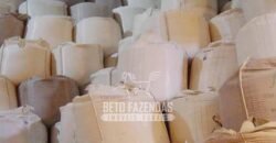 Usina à Venda 14.520 hectares Açúcar, Etanol e Energia | Oeste Paulista/ SP