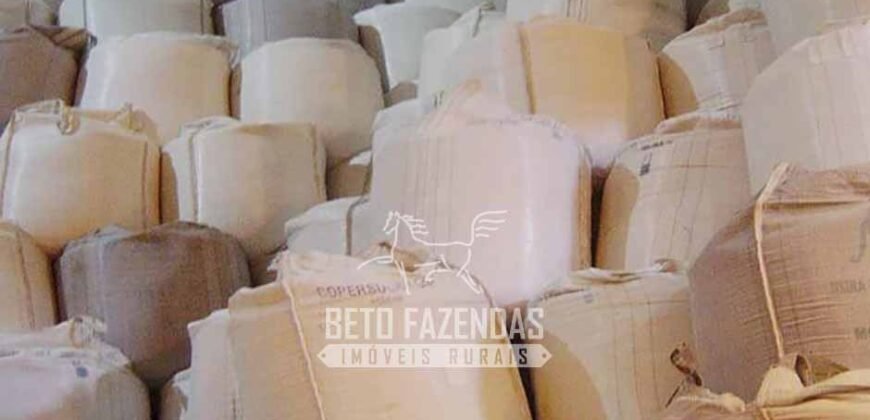 Usina à Venda 14.520 hectares Açúcar, Etanol e Energia | Oeste Paulista/ SP