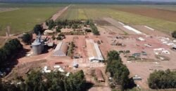 Fazenda de Soja à Venda 16.500 hectares Estrutura Industrial Completa | Baixa Grande do Ribeiro/PI
