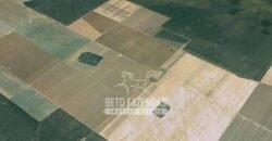 Fazenda de Soja à Venda 16.500 hectares Estrutura Industrial Completa | Baixa Grande do Ribeiro/PI