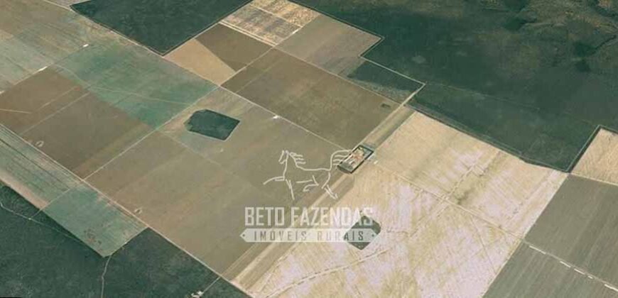 Fazenda de Soja à Venda 16.500 hectares Estrutura Industrial Completa | Baixa Grande do Ribeiro/PI