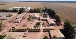 Fazenda de Soja à Venda 16.500 hectares Estrutura Industrial Completa | Baixa Grande do Ribeiro/PI