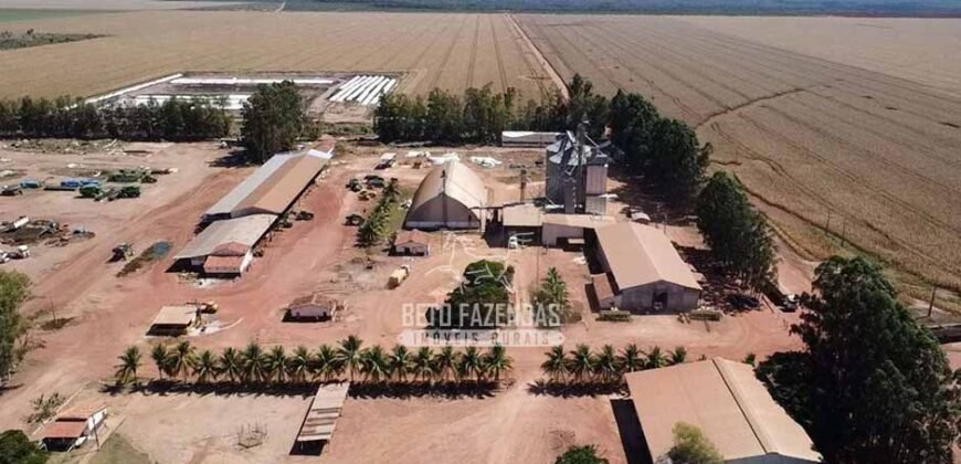 Fazenda de Soja à Venda 16.500 hectares Estrutura Industrial Completa | Baixa Grande do Ribeiro/PI