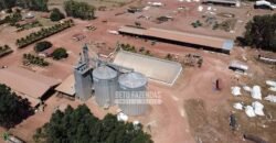 Fazenda de Soja à Venda 16.500 hectares Estrutura Industrial Completa | Baixa Grande do Ribeiro/PI