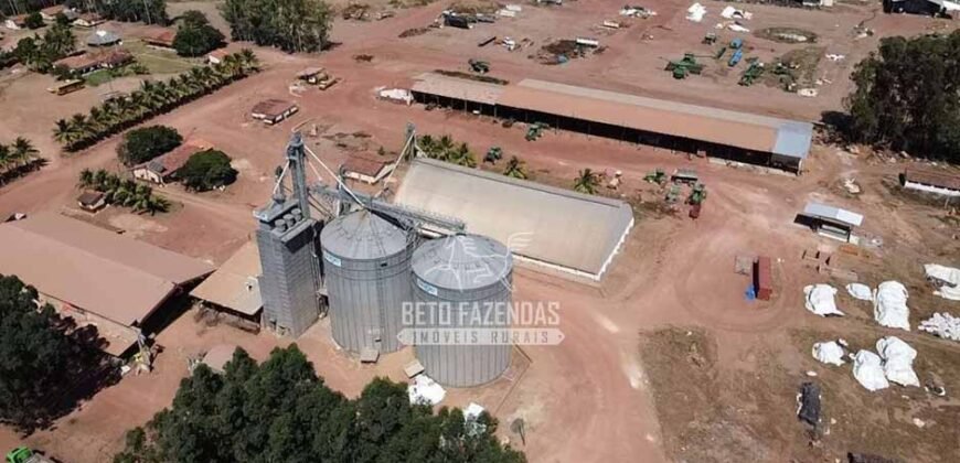 Fazenda de Soja à Venda 16.500 hectares Estrutura Industrial Completa | Baixa Grande do Ribeiro/PI