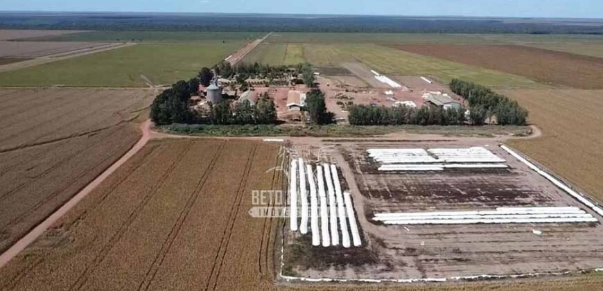 Fazenda de Soja à Venda 16.500 hectares Estrutura Industrial Completa | Baixa Grande do Ribeiro/PI