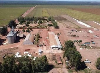 Fazenda de Soja à Venda 16.500 hectares Estrutura Industrial Completa | Baixa Grande do Ribeiro/PI