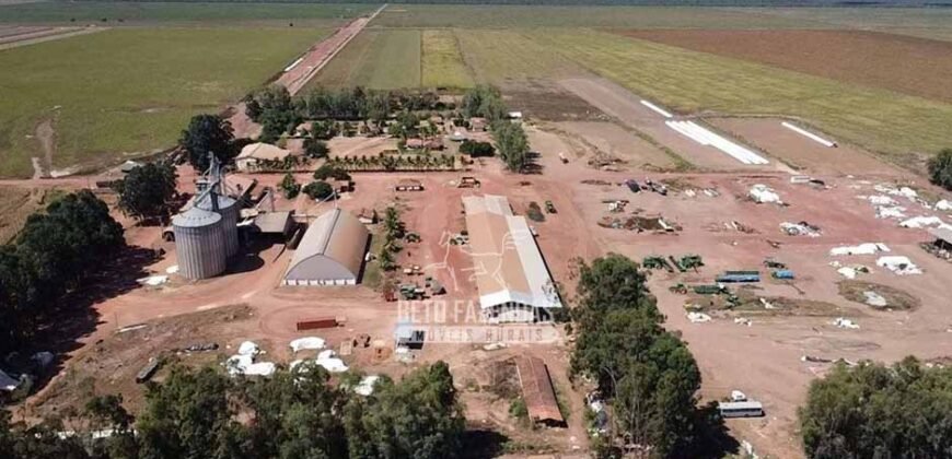 Fazenda de Soja à Venda 16.500 hectares Estrutura Industrial Completa | Baixa Grande do Ribeiro/PI