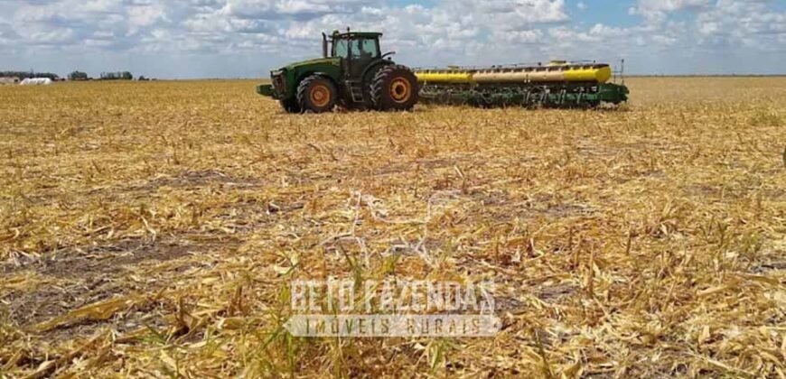 Fazenda de Soja à Venda 16.500 hectares Estrutura Industrial Completa | Baixa Grande do Ribeiro/PI