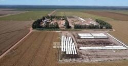 Fazenda de Soja à Venda 16.500 hectares Estrutura Industrial Completa | Baixa Grande do Ribeiro/PI