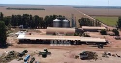 Fazenda de Soja à Venda 16.500 hectares Estrutura Industrial Completa | Baixa Grande do Ribeiro/PI