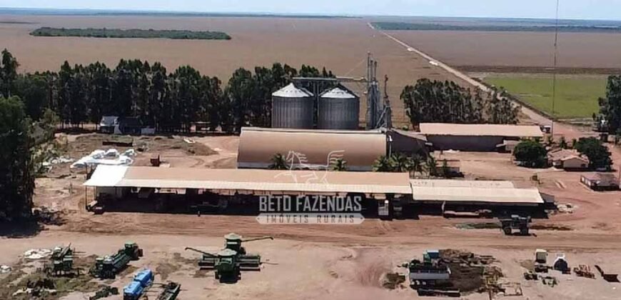 Fazenda de Soja à Venda 16.500 hectares Estrutura Industrial Completa | Baixa Grande do Ribeiro/PI