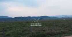 Fazenda à Venda 34.848 hectares Dupla Aptidão com Pista de Pouso | Sul do Pará