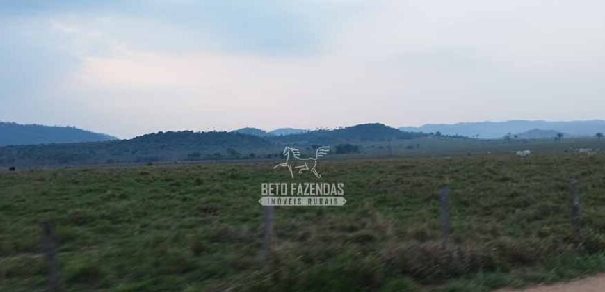 Fazenda à Venda 34.848 hectares Dupla Aptidão com Pista de Pouso | Sul do Pará