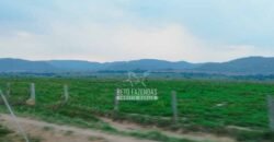 Fazenda à Venda 34.848 hectares Dupla Aptidão com Pista de Pouso | Sul do Pará