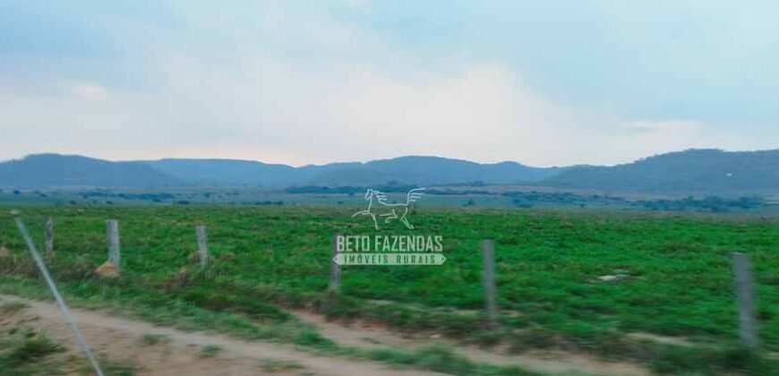 Fazenda à Venda 34.848 hectares Dupla Aptidão com Pista de Pouso | Sul do Pará
