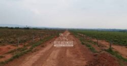 Fazenda à Venda 34.848 hectares Dupla Aptidão com Pista de Pouso | Sul do Pará