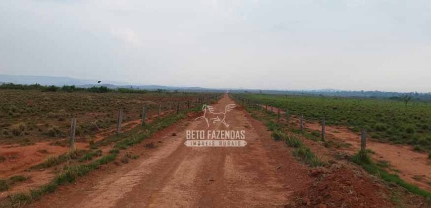 Fazenda à Venda 34.848 hectares Dupla Aptidão com Pista de Pouso | Sul do Pará