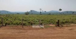 Fazenda à Venda 34.848 hectares Dupla Aptidão com Pista de Pouso | Sul do Pará