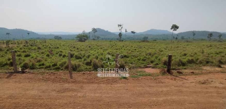 Fazenda à Venda 34.848 hectares Dupla Aptidão com Pista de Pouso | Sul do Pará
