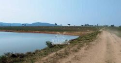 Fazenda à Venda 34.848 hectares Dupla Aptidão com Pista de Pouso | Sul do Pará