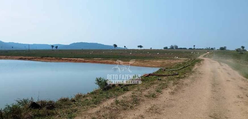 Fazenda à Venda 34.848 hectares Dupla Aptidão com Pista de Pouso | Sul do Pará