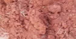 Fazenda à Venda 34.848 hectares Dupla Aptidão com Pista de Pouso | Sul do Pará