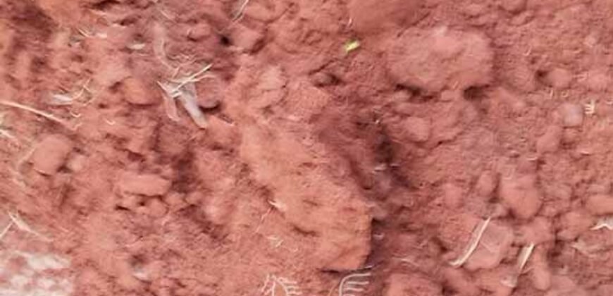 Fazenda à Venda 34.848 hectares Dupla Aptidão com Pista de Pouso | Sul do Pará
