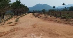 Fazenda à Venda 34.848 hectares Dupla Aptidão com Pista de Pouso | Sul do Pará