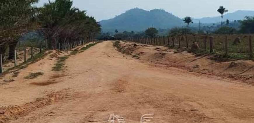 Fazenda à Venda 34.848 hectares Dupla Aptidão com Pista de Pouso | Sul do Pará