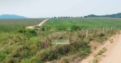 Fazenda à Venda 34.848 hectares Dupla Aptidão com Pista de Pouso | Sul do Pará