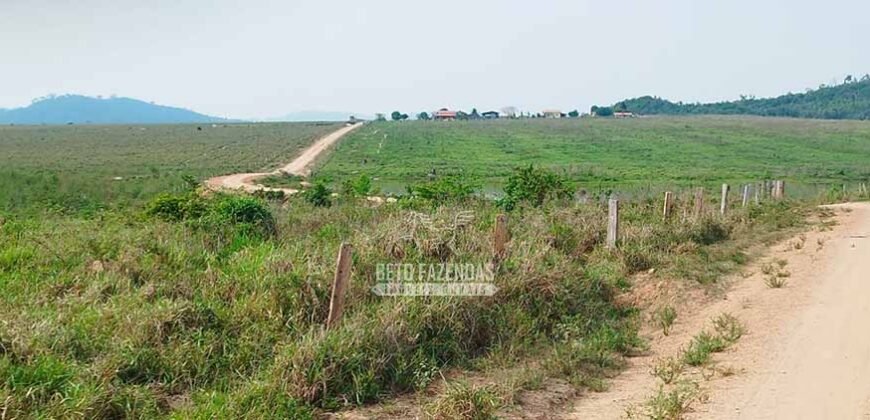 Fazenda à Venda 34.848 hectares Dupla Aptidão com Pista de Pouso | Sul do Pará