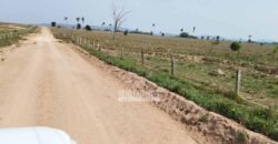 Fazenda à Venda 34.848 hectares Dupla Aptidão com Pista de Pouso | Sul do Pará