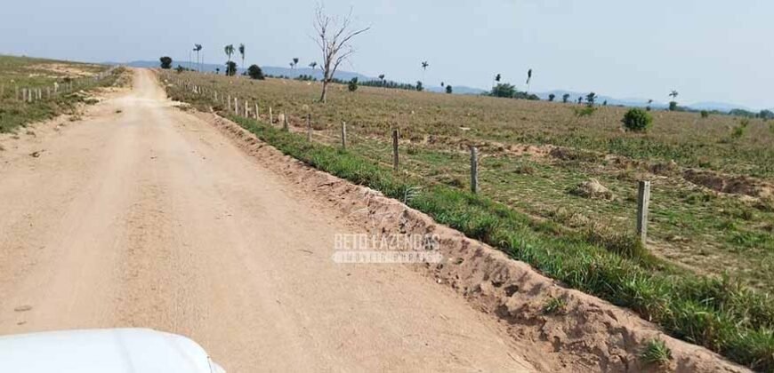 Fazenda à Venda 34.848 hectares Dupla Aptidão com Pista de Pouso | Sul do Pará