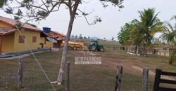Fazenda à Venda 34.848 hectares Dupla Aptidão com Pista de Pouso | Sul do Pará