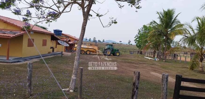 Fazenda à Venda 34.848 hectares Dupla Aptidão com Pista de Pouso | Sul do Pará