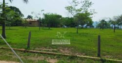 Fazenda à Venda 34.848 hectares Dupla Aptidão com Pista de Pouso | Sul do Pará