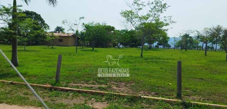 Fazenda à Venda 34.848 hectares Dupla Aptidão com Pista de Pouso | Sul do Pará