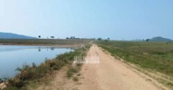 Fazenda à Venda 34.848 hectares Dupla Aptidão com Pista de Pouso | Sul do Pará